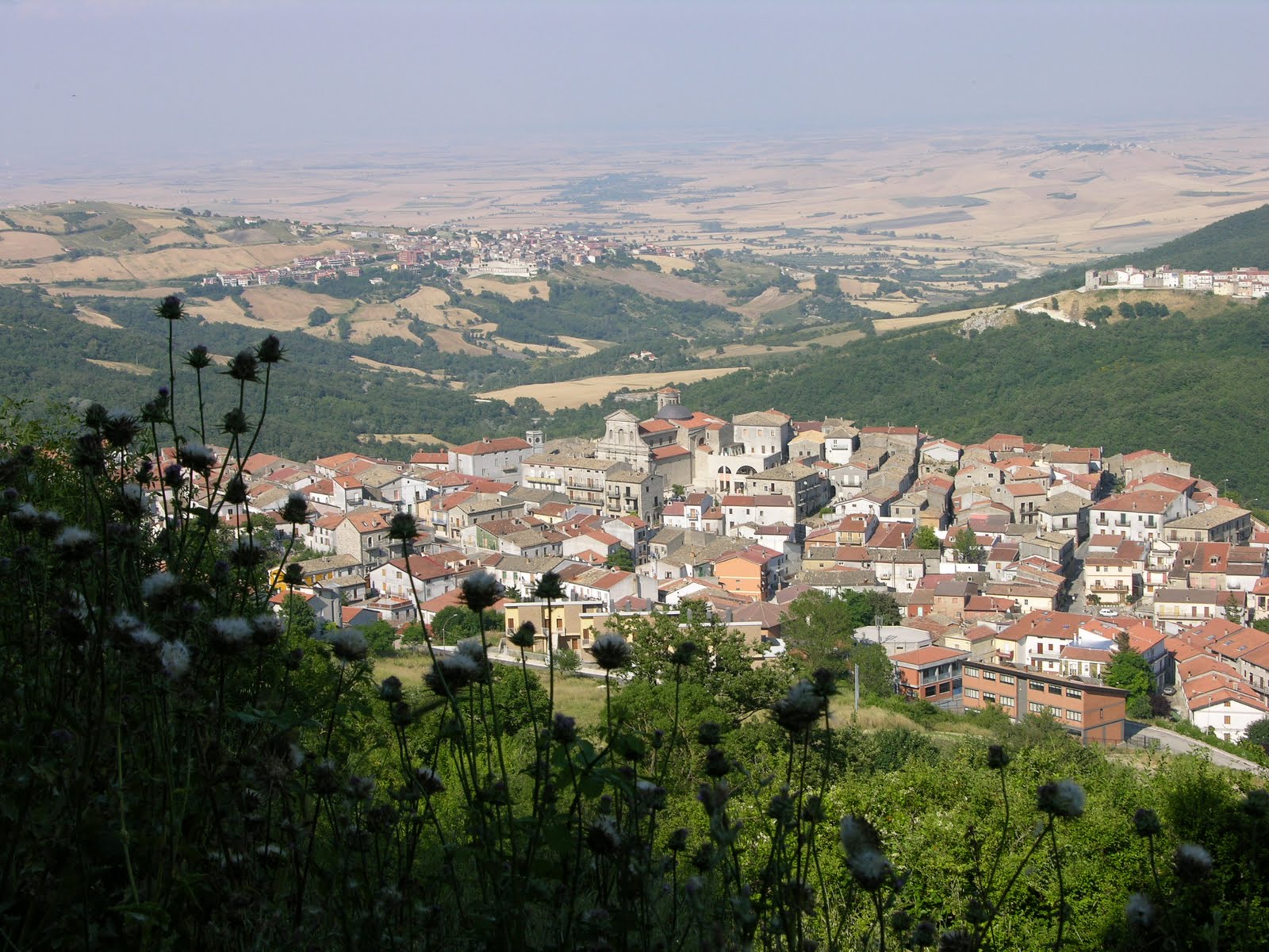 Sagra del maiale nero di Fatto